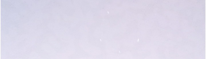 240.jpg