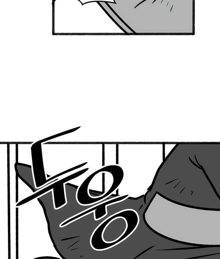 80.jpg