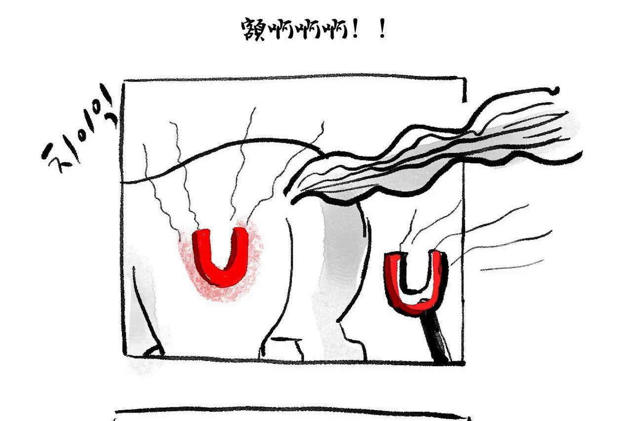 547.jpg