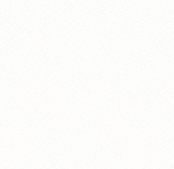 146.jpg