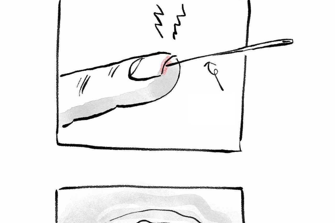 548.jpg