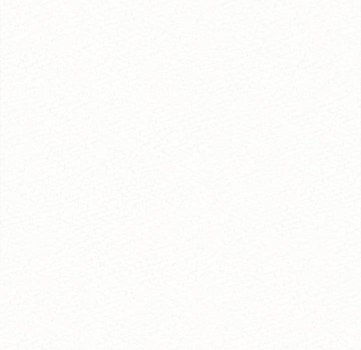 121.jpg