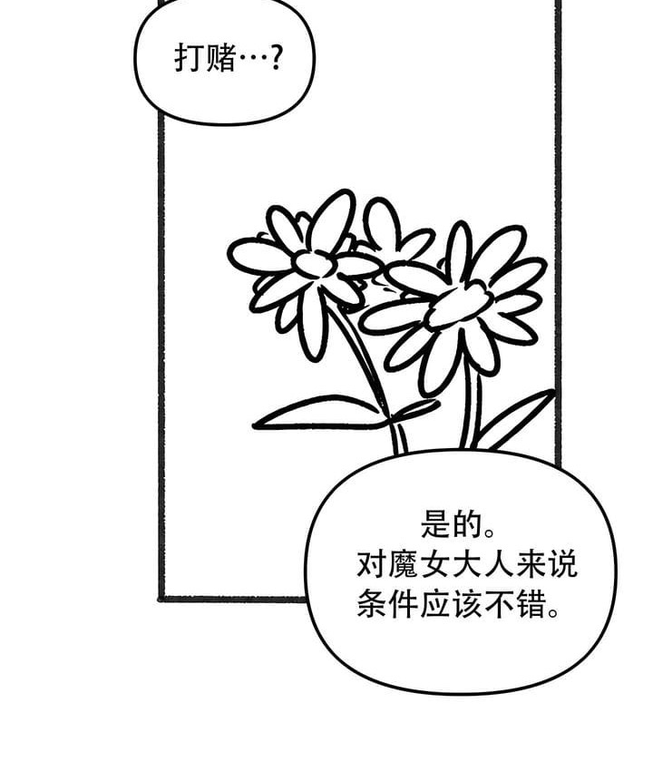 149.jpg