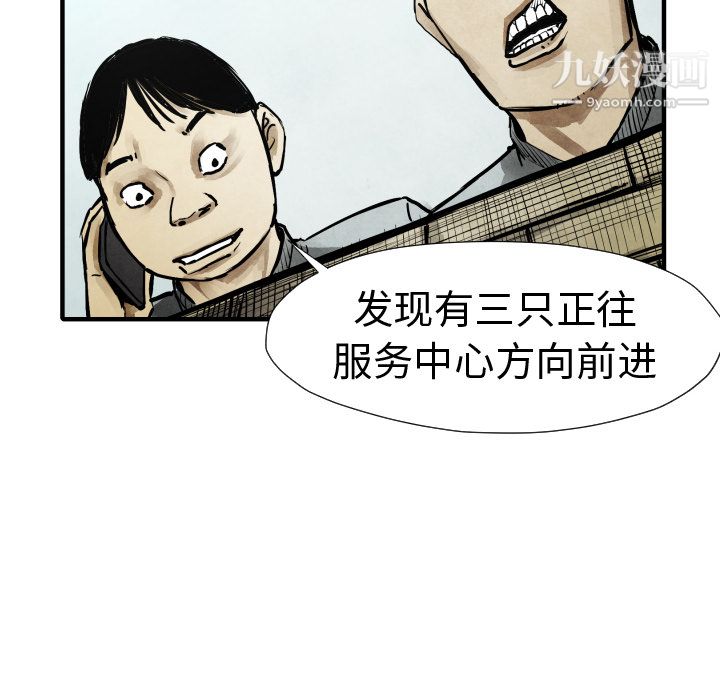 47.jpg