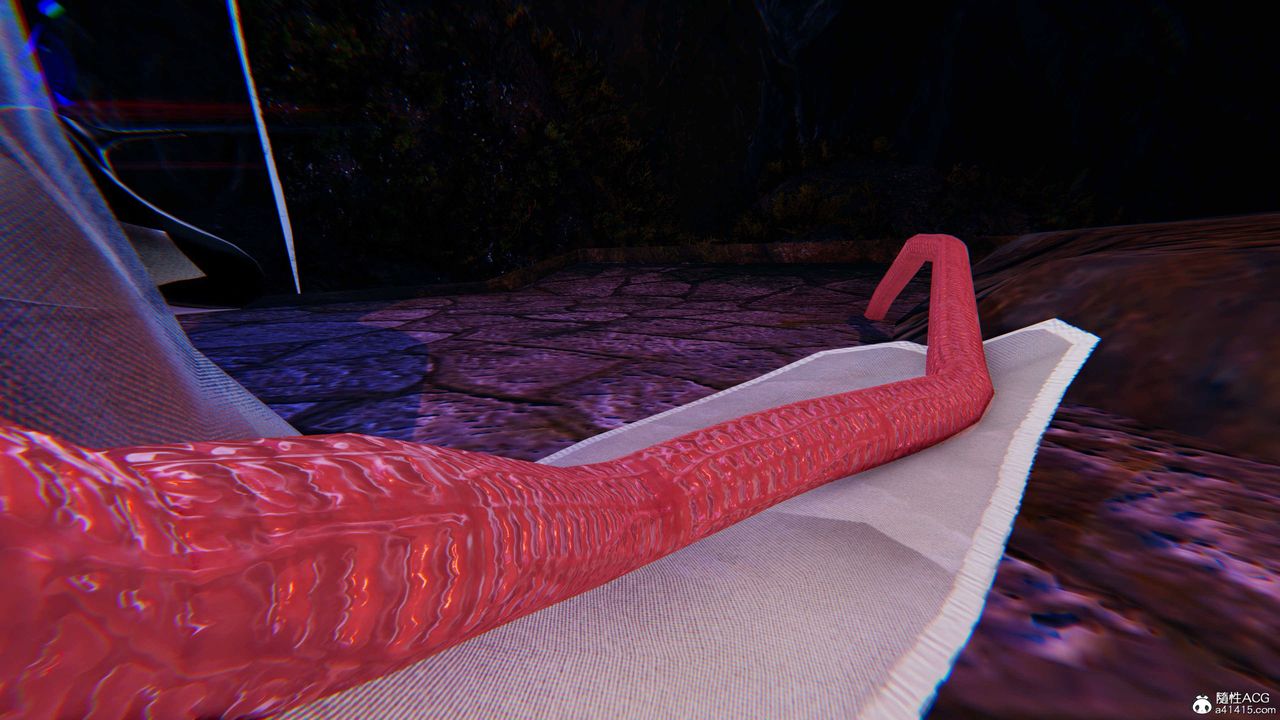 63.jpg