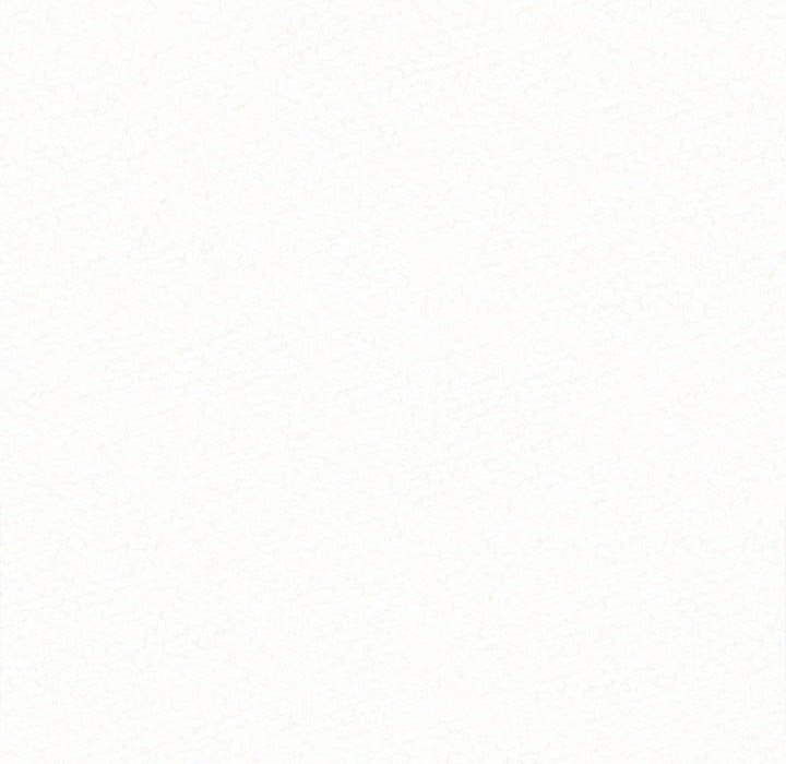 229.jpg