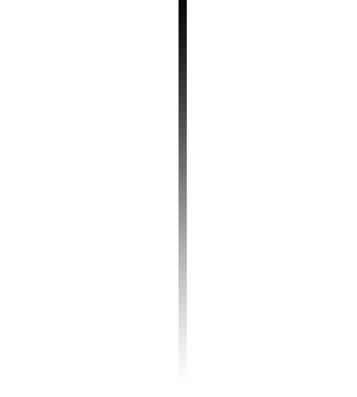 239.jpg