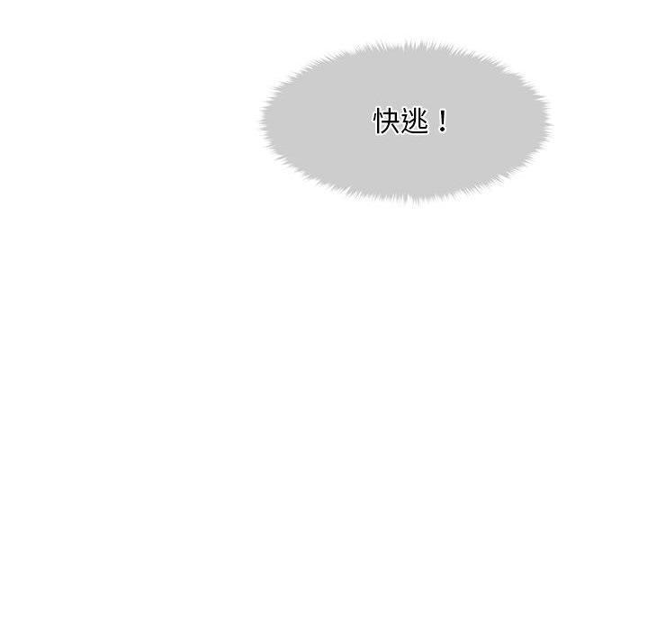 237.jpg